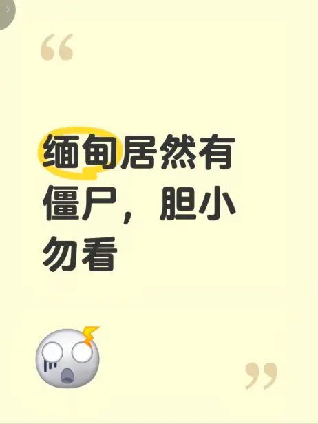 《缅甸僵尸出土事件》高清完整版在线观看 - 揭秘缅北神秘事件现场全程录像 - 免费播放无删减